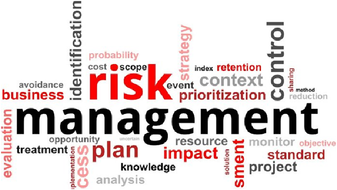 Risk-management-assignment-help